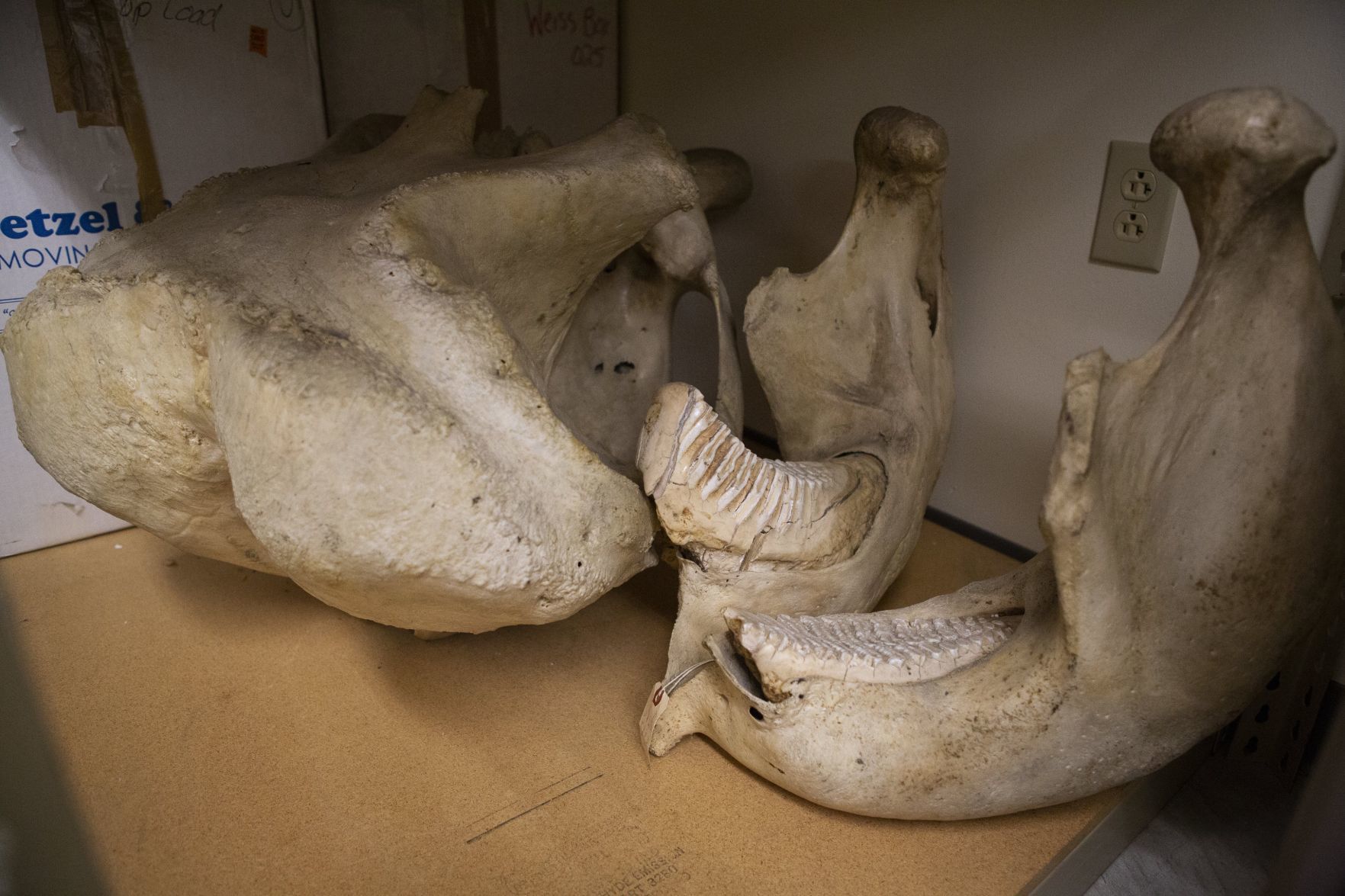 Science Center Collections